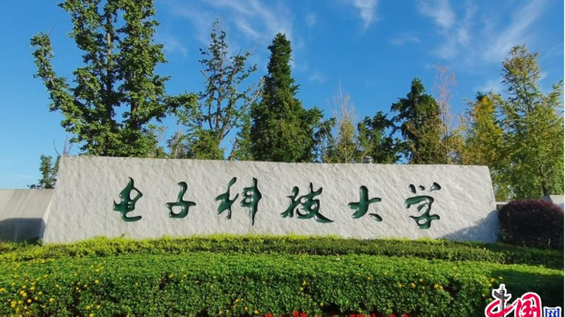 电子元器件：揭秘行业排名背后的逻辑